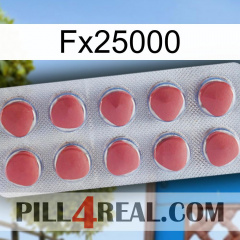 Fx25000 18